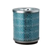 DONALDSON P181131 - CABIN AIR FILTER