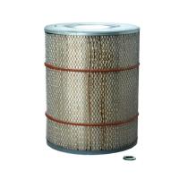 DONALDSON P607266 - PRODUCTO