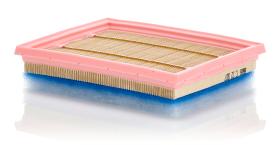 MANN C22007 - FILTRO AIRE